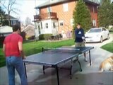 Table Tennis: Ping Pong 2