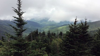 From parking lot at Clingmans Dome