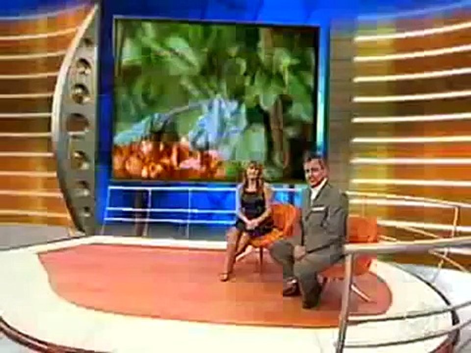 Insetos (O Mundo dos Insetos) -- Episódio 3/3