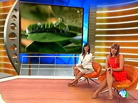 Insetos (O Mundo dos Insetos) Episódio 2/3