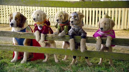 Sky Movies Premiere: Super Buddies trailer