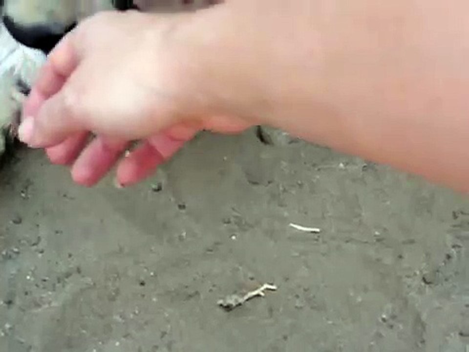 cheetah bath !!