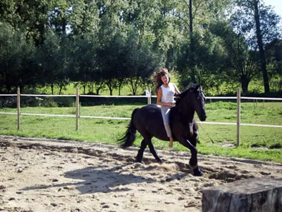 Senna bareback bridleless riding