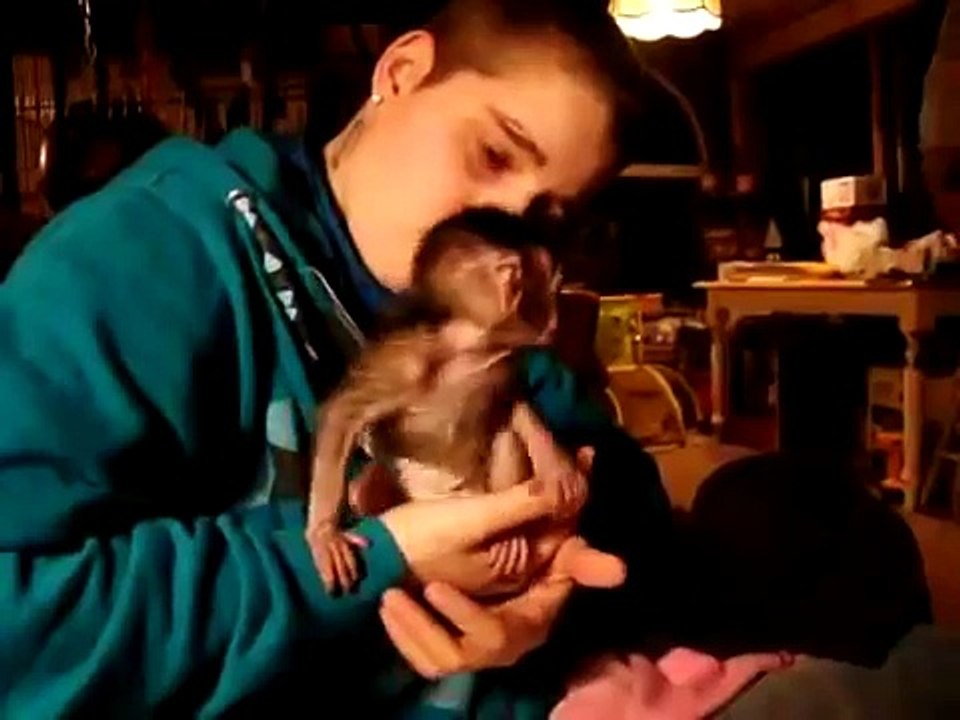 Nikki & Meiki Monkey.mp4