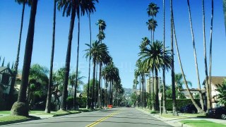 Beverly Hills street walk