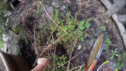 How to get rid of carpenter Bees!