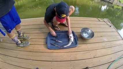 9515---What-The-Heck-Did-This-Catfish-Eat