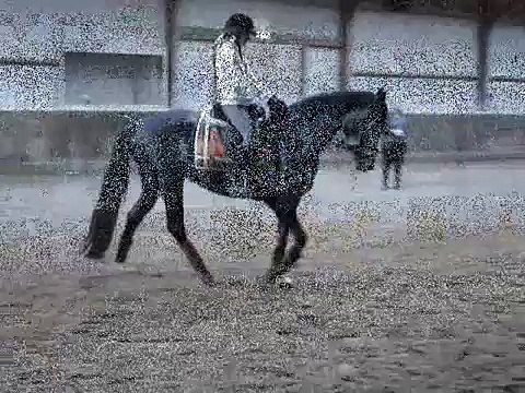 Magic tijdens de les