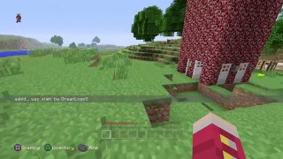 Minecraft PS4 Trolling - #1 - some people are not nice...