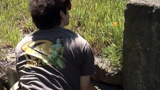 Lizard Catching: Episode 2: Mount Tamalpais Area