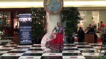 Indian Dance - Asian Cultural Festival 2014