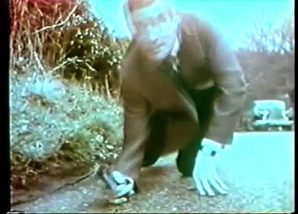 The Second Best Secret Agent in the Whole Wide World (1965)