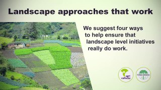 4 landscape approaches that work