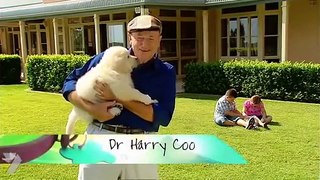 Better Homes and Gardens TV - Bringing Home Puppy