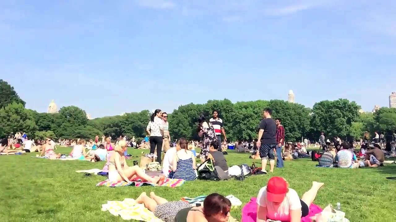 Day 52 // Sunbathe in Central Park