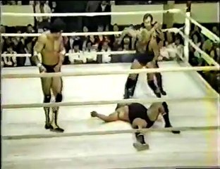 Dynamite Kid/Duke Myers vs Billy Jack Haynes and Bruce Hart