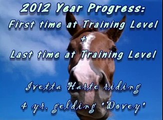 2012 Dressage Training Level Progress of 4 year old gelding "Dovey"