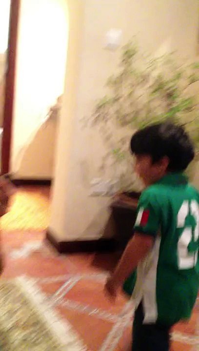 Harrison and the Baby Orangutan