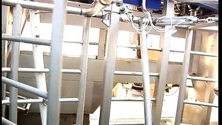 VMS robotic milking