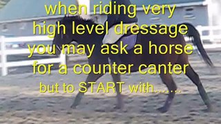 Learning / recognizing your  canter leads #2 TEST and study guide