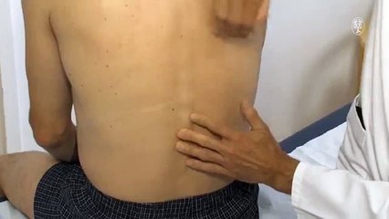 Duale Reihe Anamnese und klinische Untersuchung - Thorax