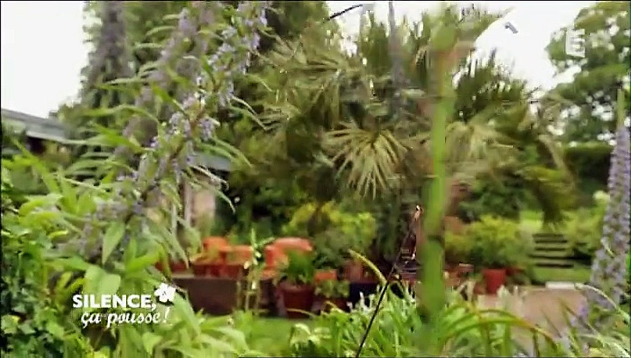 Silence, ça pousse ! VOSTF 9.09.2015   France 5