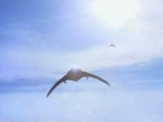 Bande annonce  STARGATE SG-1