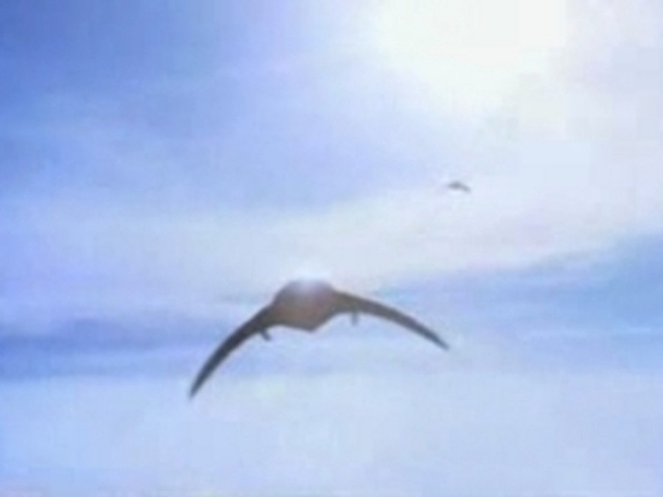 Bande annonce  STARGATE SG-1