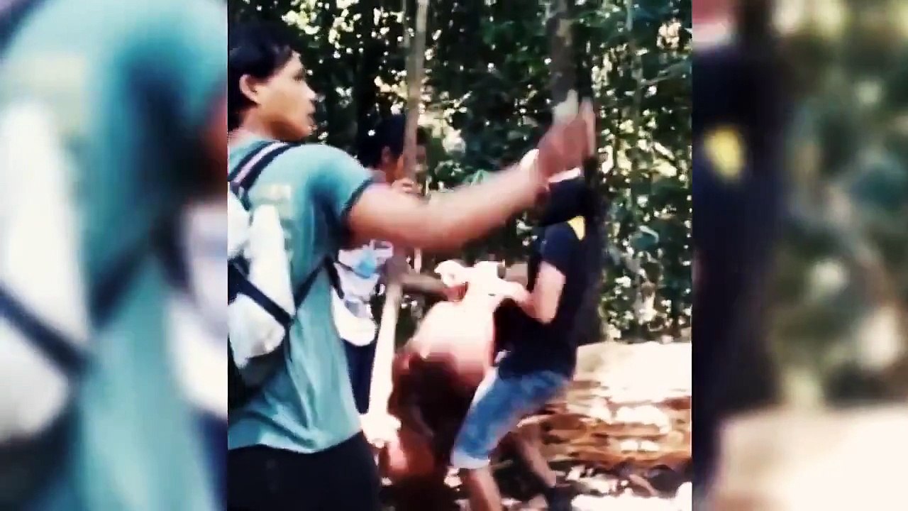 When Animal Attacks Human - Amazing Video Compilation 2015