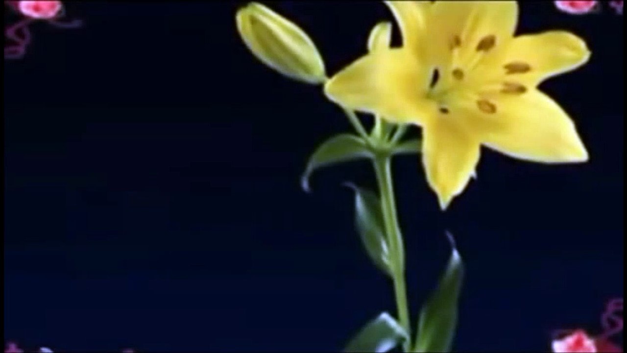 Feliz aniversario Musica Cristã Mensagens Gospel