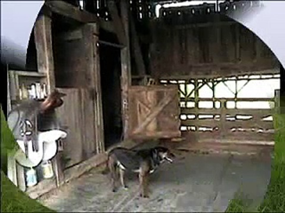 Deva's Delight-Barn