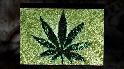 2Pac - Smoke weed all day [Rather be your n.i.g.g.a]