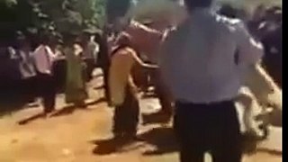 Groom Thrown Off Drugged Horse During Wedding Procession funny