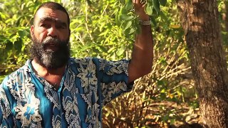 Plants and culture on Great Keppel Island with Bob Muir