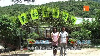 香港青年協會u21-青協數碼青年,小主持系列之有機農莊
