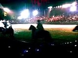 Caballo peruano de Paso (Noche de Gala) - Mamacona (1)