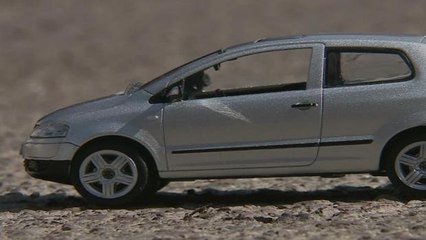 Colecionador transforma paixão por carrinhos em negócio