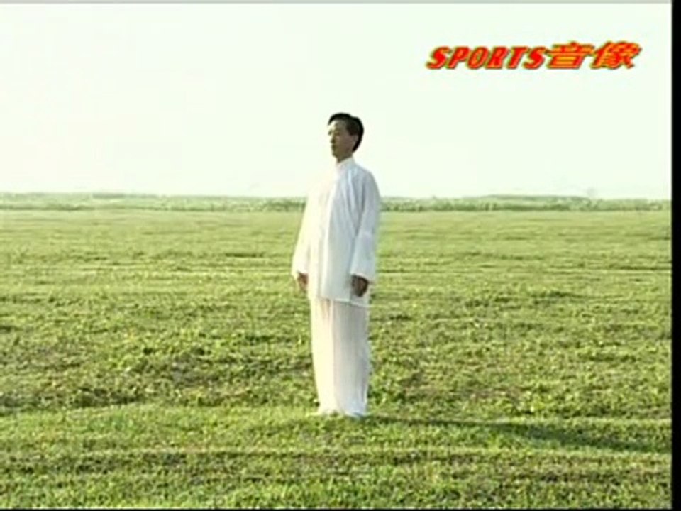 Xing Yi Chuan Twelve Pounding Fists形意拳十二洪捶