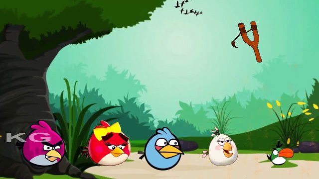 Angry Birds Finger Family Song | Daddy Finger Daddy Finger | Cartoon Nursery Rhymes