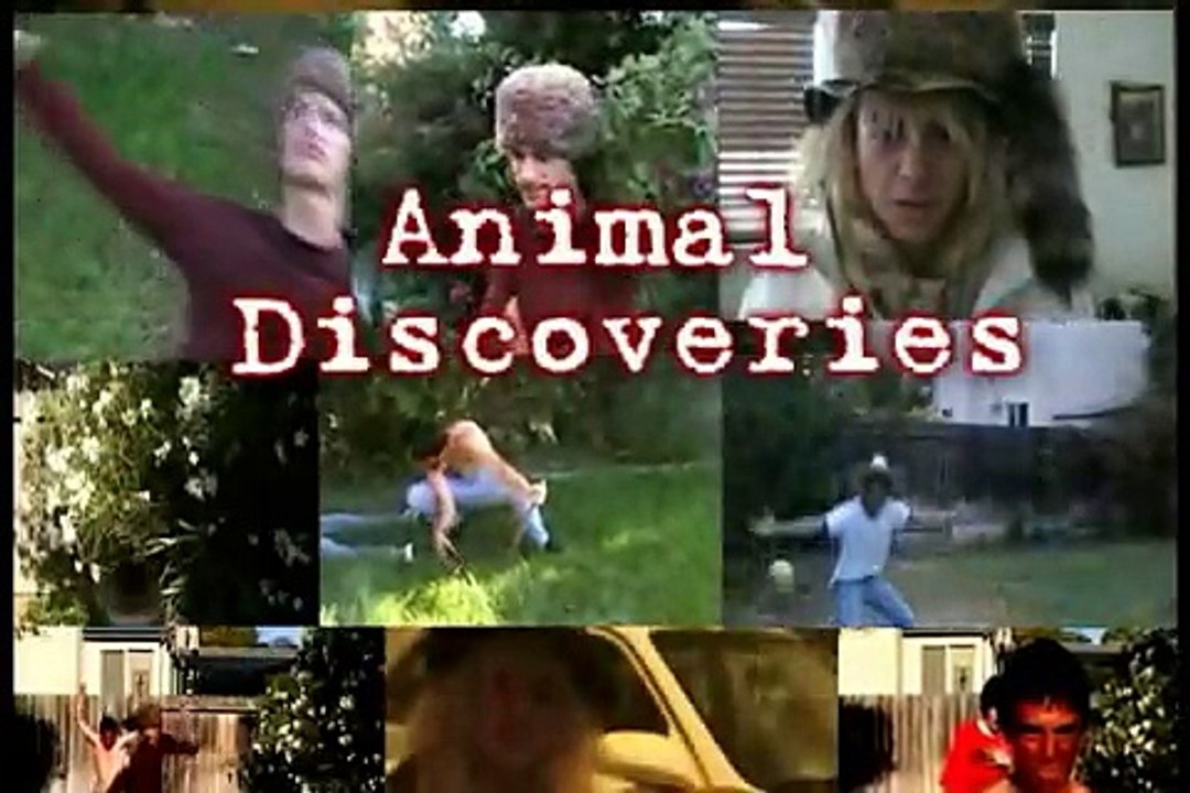 Animal Discoveries The Beginning