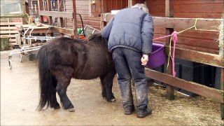 Documentary Project: Clough Farm Animal Sanctuary