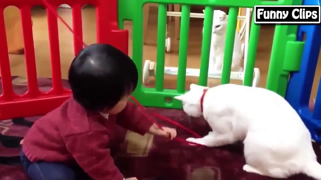 Funny babies annoying dogs - Cute dog & baby compilation