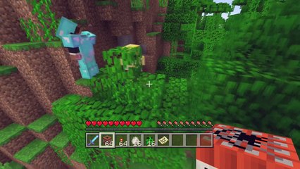 Minecraft Trolling Pt.1