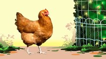 Animal Songs Chicken Bop, by StoryBots   chicken dance for kids   Video Dailymotion