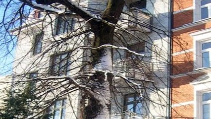 Bee Gees: "Ordinary Lives"