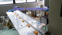 Dry mango slice packaging machine/ Lemon piece packing machine