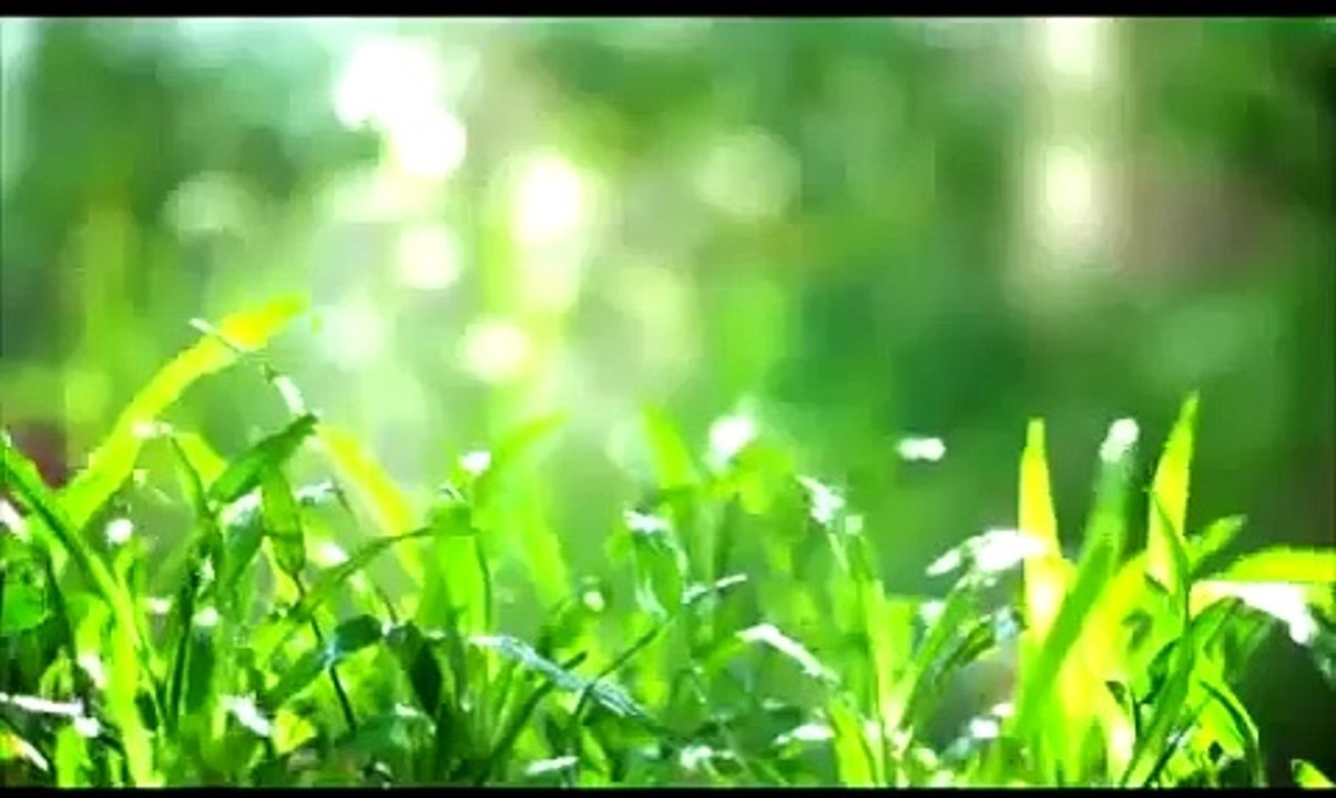 Funny Ads | QC ] Quảng Cáo vui - Dầu đậu nành OTRAN