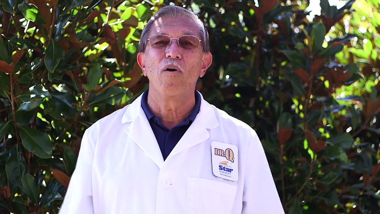 Star-Nursery-Dr-Q-Dealing-With-Desert-Soils