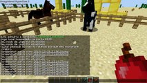 Cópia de 2 maneiras de domar cavalos e burros no Minecraft