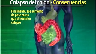 Sobre la Salud Digestiva y el colon - Dra Rocio Medina Herbalife